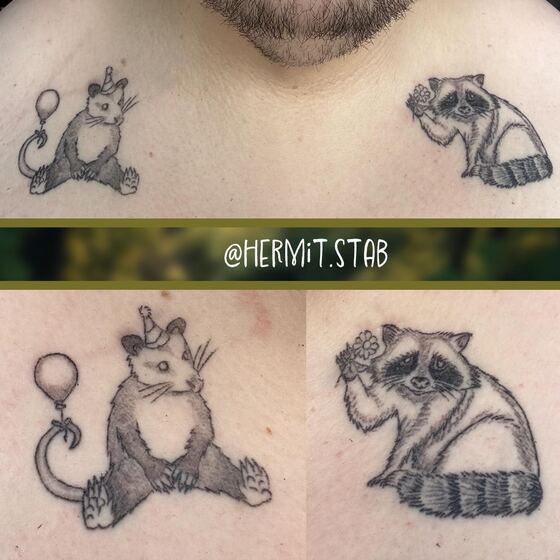 hermit.stab - DHlIewFuJXD.jpg