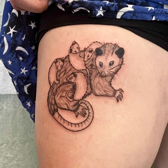 hermit.stab - DKSg-RRpKh_.jpg